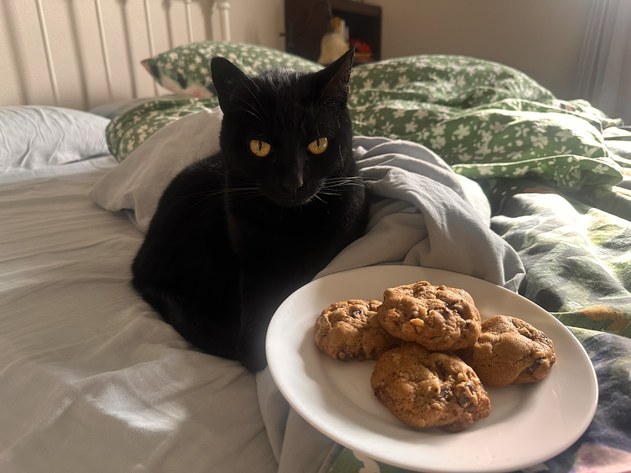 Festive holiday cookies and decorations